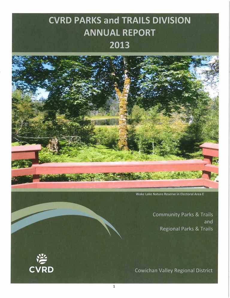 2013 Annual report.jpg