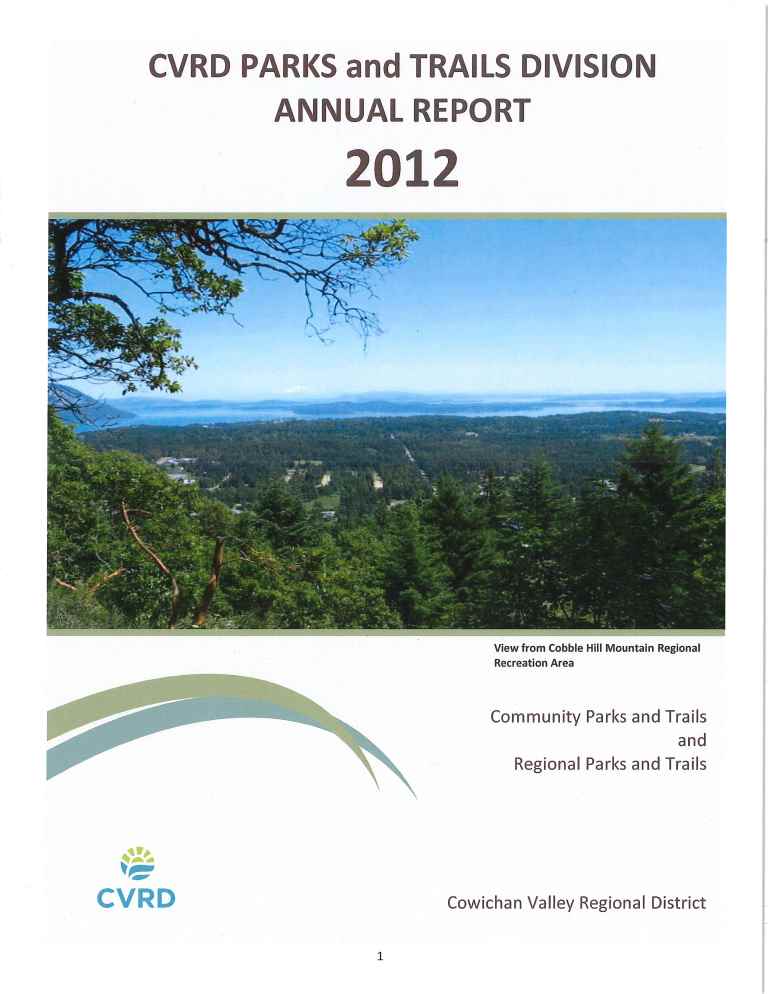 2012 Annual report.jpg